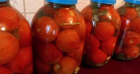 Квашеные помидоры быстрого приготовления: можно есть через три дня